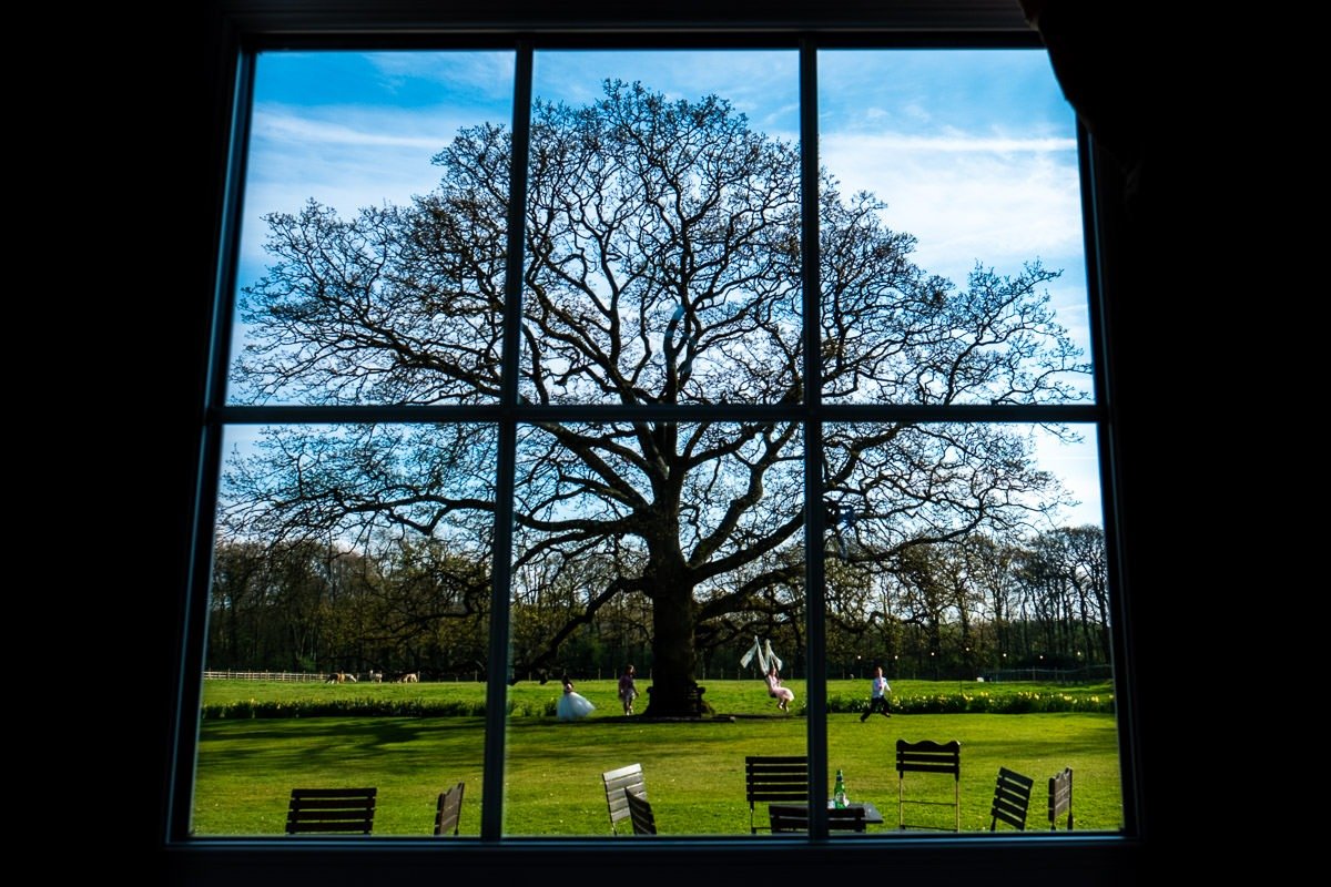 Children play on a tree swing during a wedding at Singleton Lodge